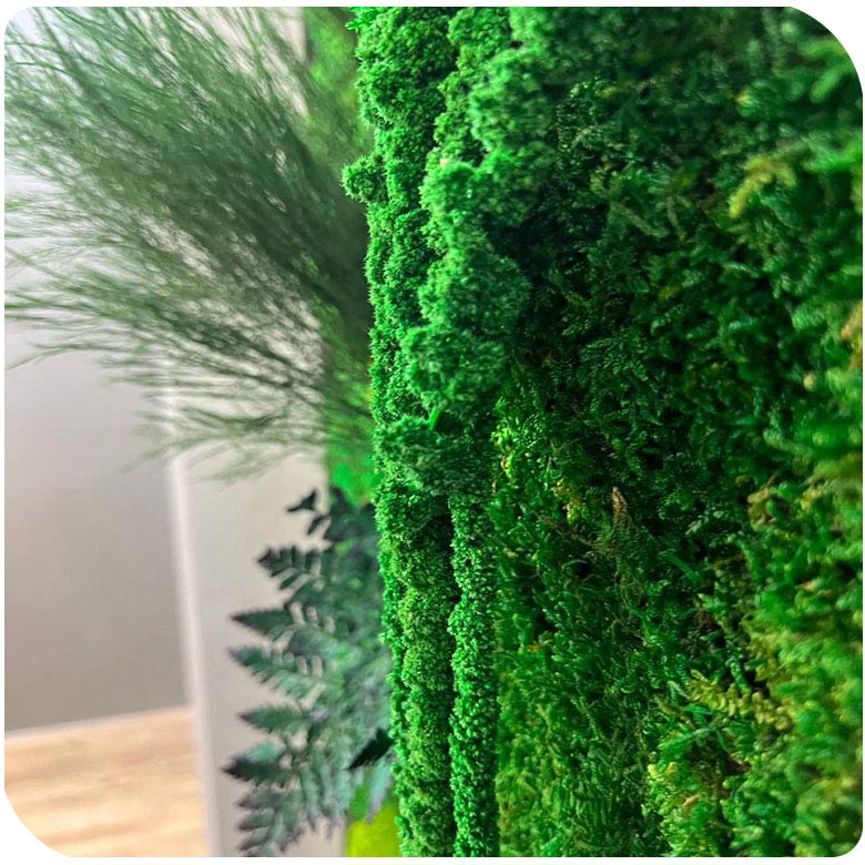 mosswall category